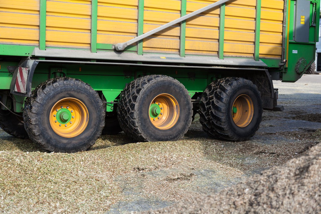 Bild 132 - Maisernte